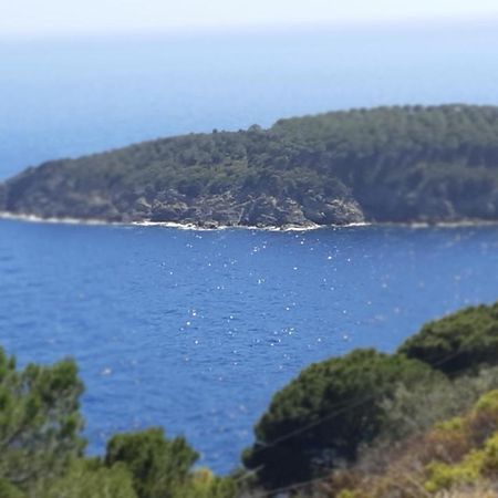 Residence La Calle Isola D'Elba Εξωτερικό φωτογραφία
