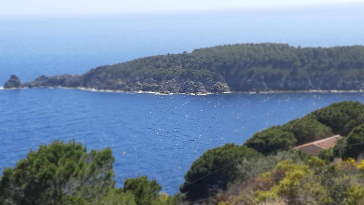 Residence La Calle Isola D'Elba Εξωτερικό φωτογραφία