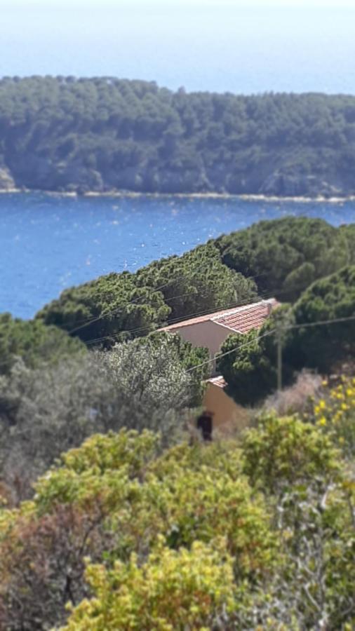 Residence La Calle Isola D'Elba Εξωτερικό φωτογραφία