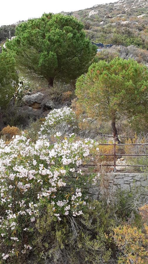Residence La Calle Isola D'Elba Εξωτερικό φωτογραφία