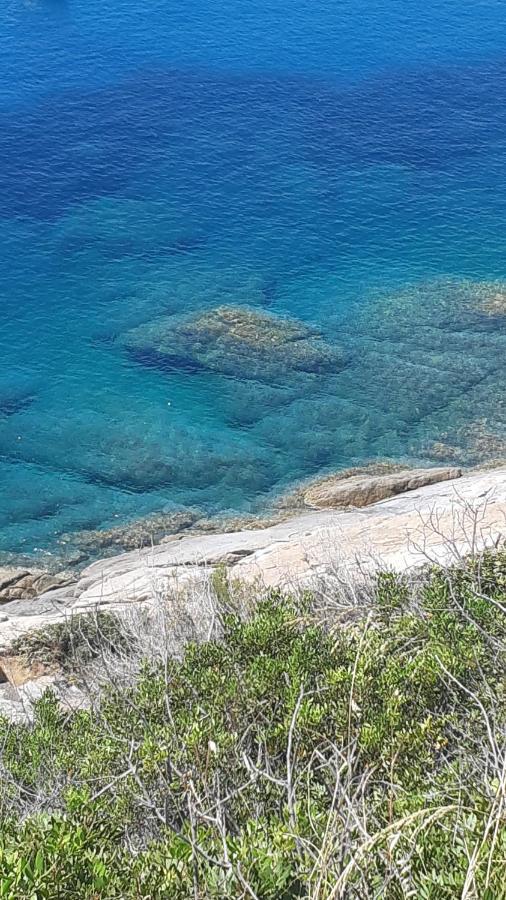 Residence La Calle Isola D'Elba Εξωτερικό φωτογραφία