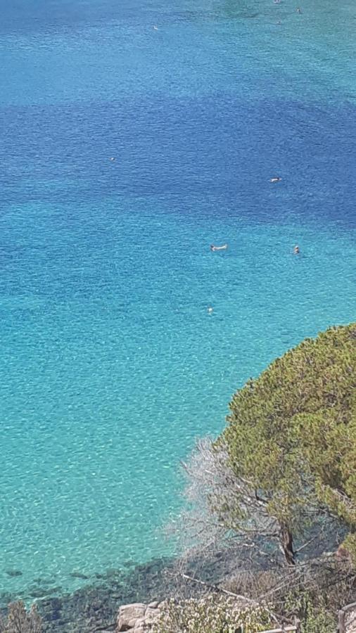 Residence La Calle Isola D'Elba Εξωτερικό φωτογραφία