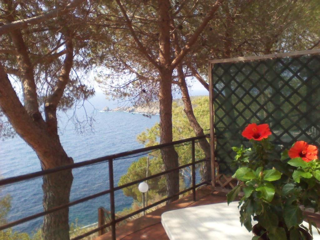 Residence La Calle Isola D'Elba Εξωτερικό φωτογραφία